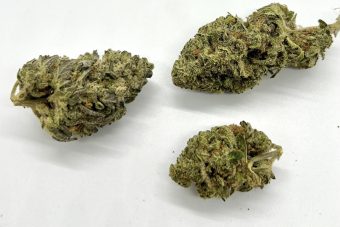 Blue Dream