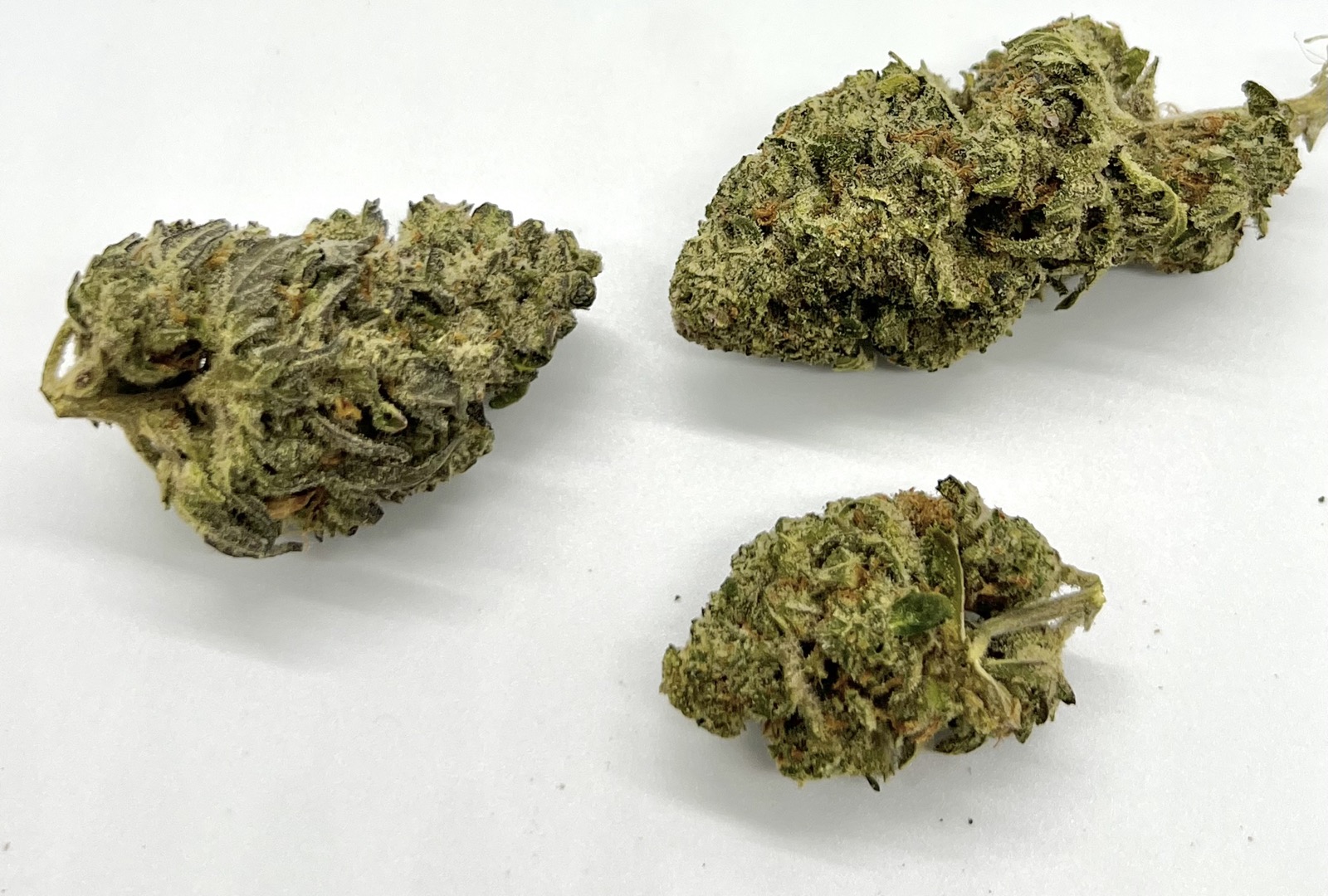 Blue Dream