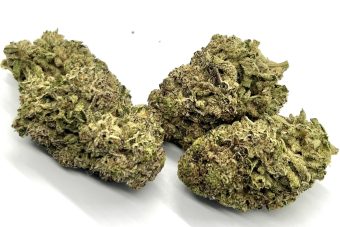 Cherry Lemon Gelato