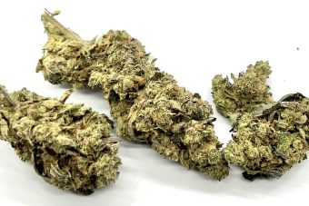 Ghost Train Haze