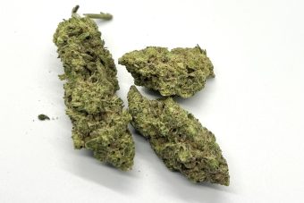 Grape Fruit