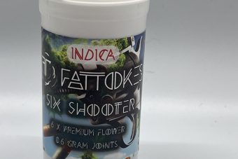 Fat Tokes 6 Shooters