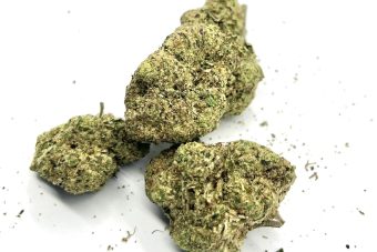 Lemon Kush