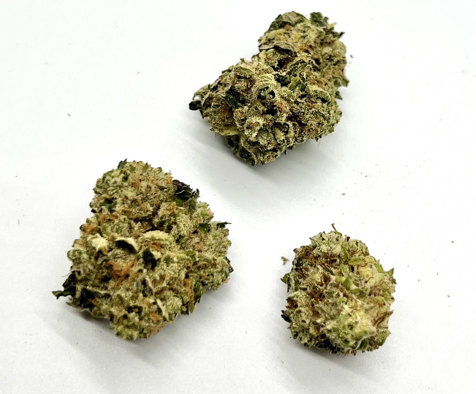 Grand Daddy Purple