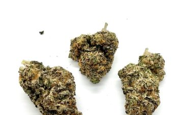 Black Tuna Cookies