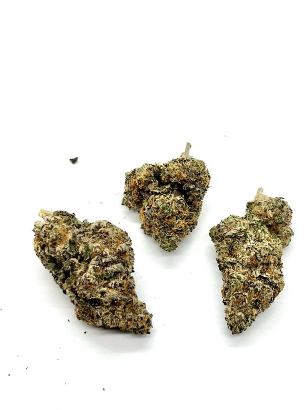 Black Tuna Cookies