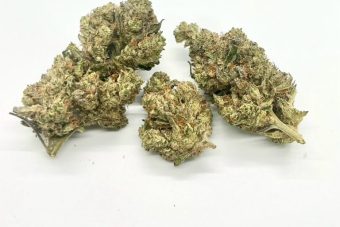 Purple Gelato