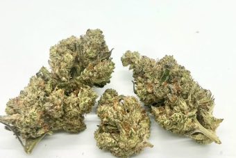 Gelato
