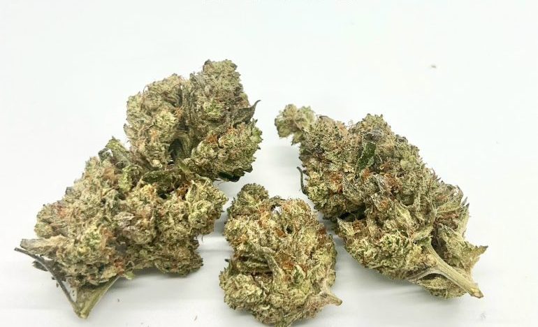 Gelato